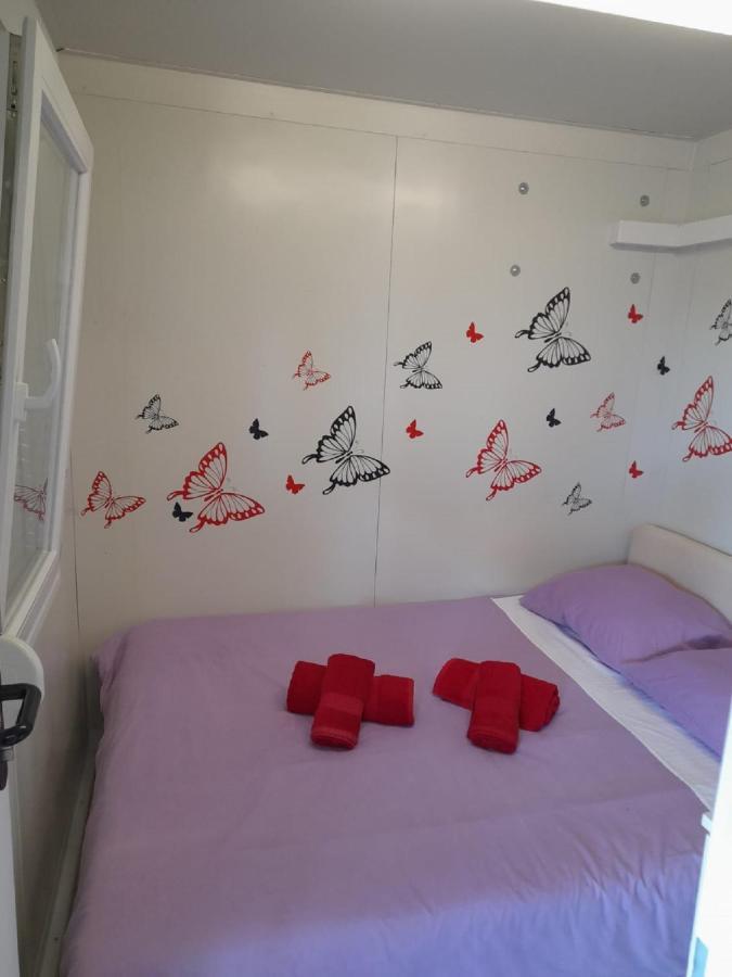 Apartments Dalamar Babino Polje Zewnętrze zdjęcie
