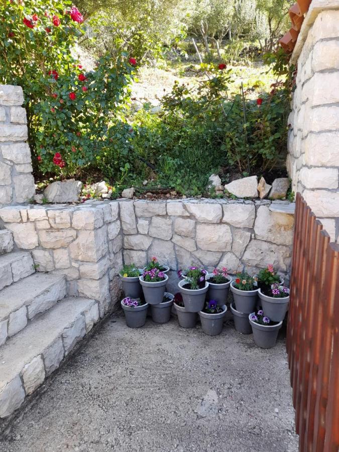 Apartments Dalamar Babino Polje Zewnętrze zdjęcie